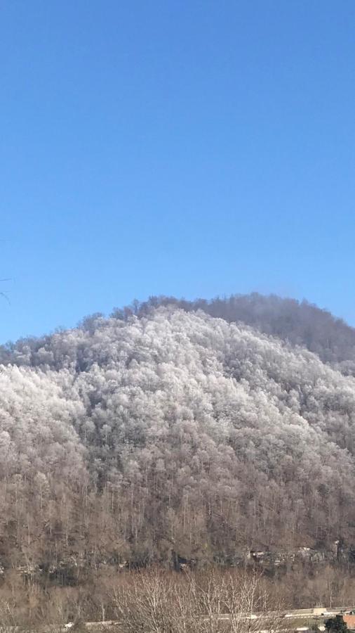 Pine Mountain Inn Pineville 외부 사진