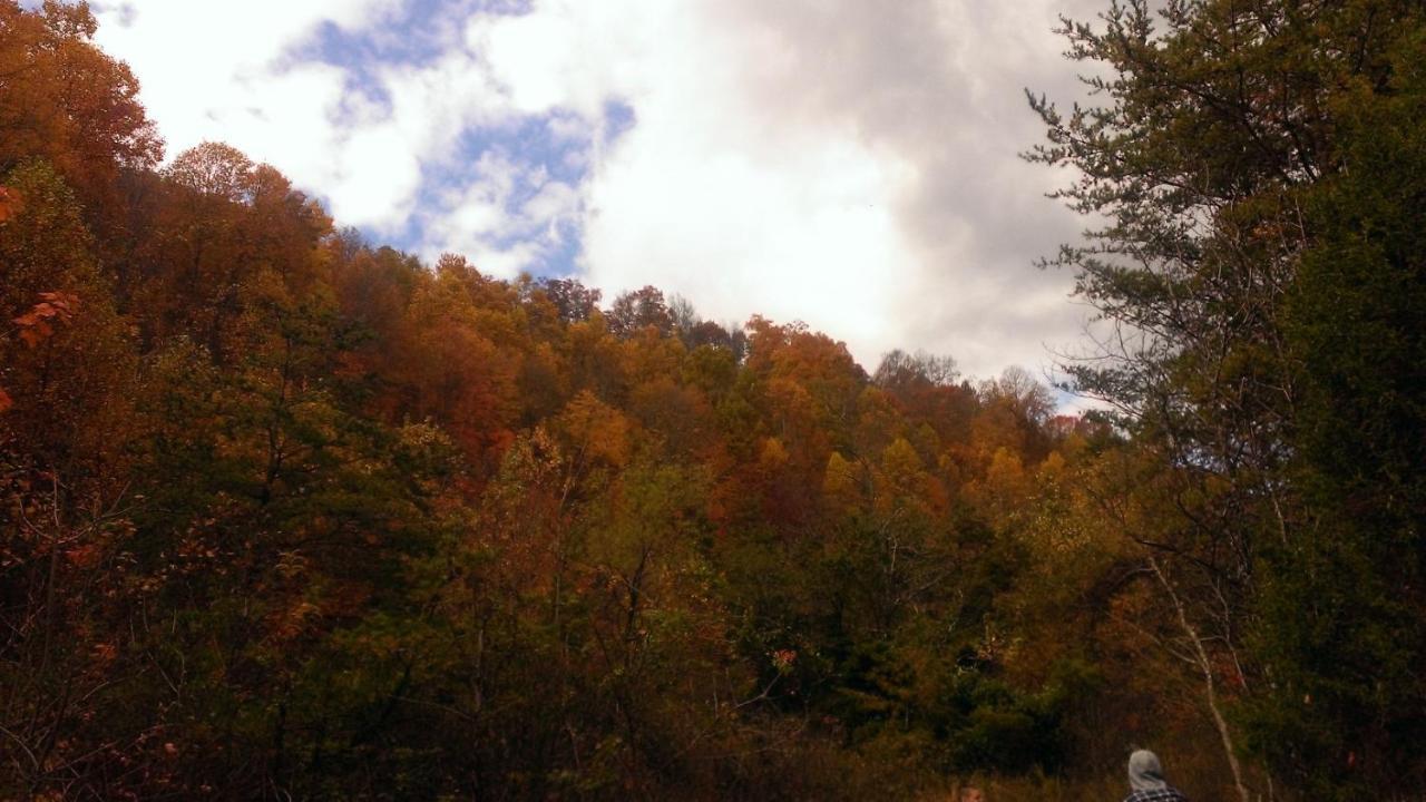 Pine Mountain Inn Pineville 외부 사진