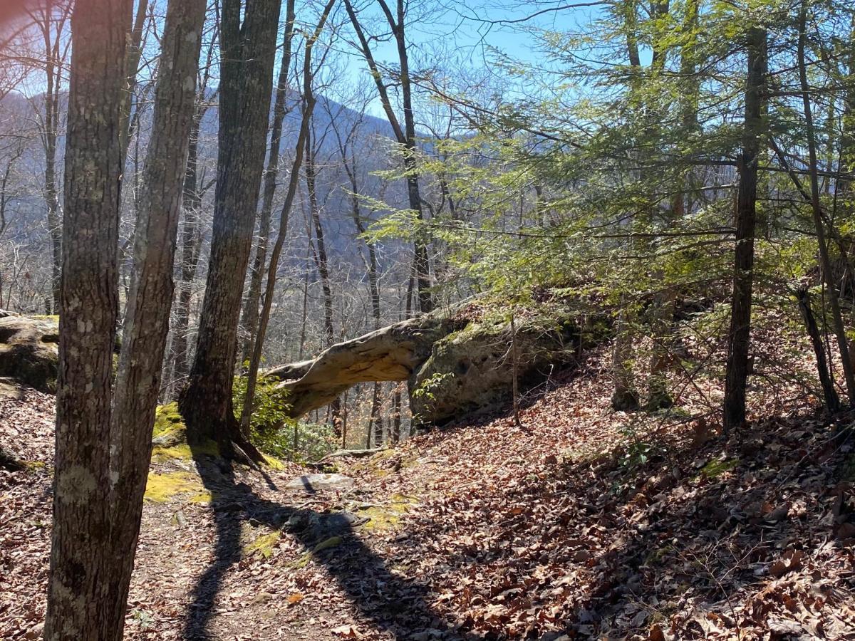 Pine Mountain Inn Pineville 외부 사진